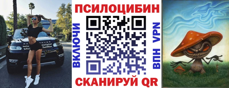 Купить  Чишмы  Псилоцибиновые грибы Psilocybine cubensis 